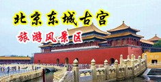毛茸茸山雀铁杆中国北京-东城古宫旅游风景区
